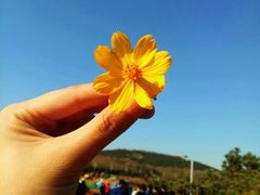 -青岛银沙滩
