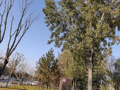 -汉长安城未央宫国家考古遗址公园