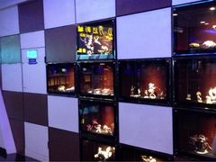櫃子裡的小模型-万达影城(太仓IMAX激光店)