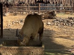 -济南野生动物世界