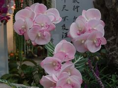 -中国翰园碑林