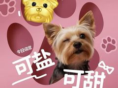 -上海第一八佰伴
