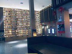 -深影国际影城(学院南路店CGS中国巨幕店)
