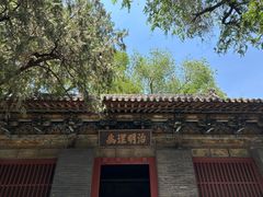 -晋祠公园