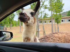 -南京金牛湖风景区