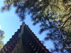 -瑞幸咖啡(尚都国际店)