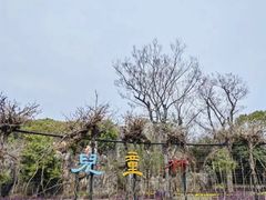 -嘉北郊野公园