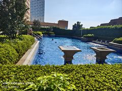 -汕头龙光喜来登酒店