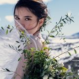 乐山婚纱摄影—白雪皑皑银装素裹