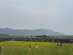 -光明小镇欢乐田园