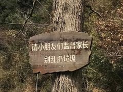 -莫里热带雨林景区