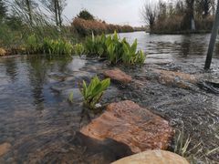 -呈贡滇池生态湿地公园