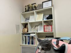 -瑞派宠物医院·24小时骨科·心脏·核磁(哈尔滨南岗店)