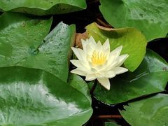 -杭州西湖风景名胜区-章太炎纪念馆