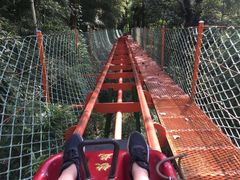 -藏龙百瀑风景区