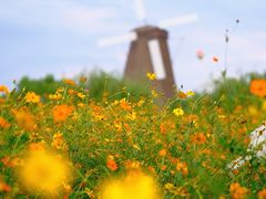 -漩门湾国家湿地公园