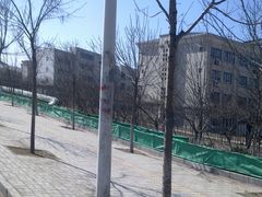 -南开大学滨海学院