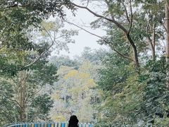 -东部华侨城