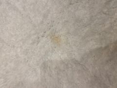 -惠州洲际度假酒店·西餐厅