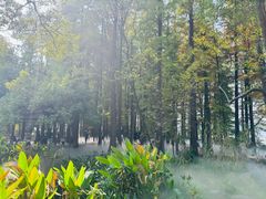 -东湖落雁景区