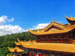 -东莞市大岭山森林公园