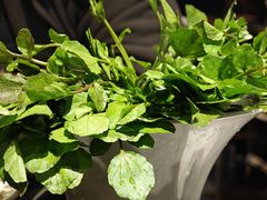 -潮汕三宝鲜牛肉火锅