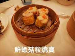 -西苑酒家(太古城店)