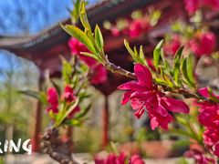 -李叔同故居纪念馆