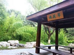 -大兴滨河森林公园