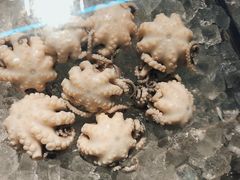 -铭聚章鱼土笋冻(松柏店)