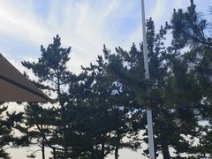 -一杯海(国际海水浴场店)