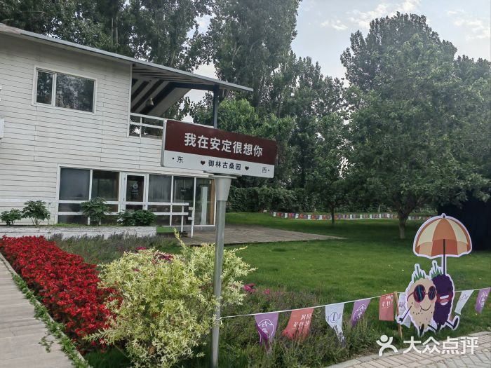 御林古桑园图片
