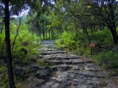 -阳台山自然风景区