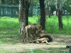 -秦皇岛野生动物园