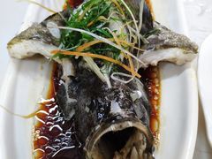 清蒸老虎斑-琼大师东方烤乳猪(亚特兰蒂斯店)