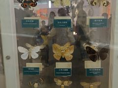 -陕西自然博物馆