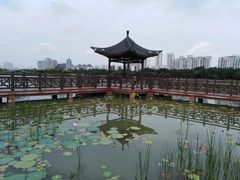 -南宁南湖公园