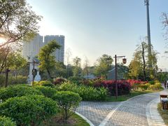 -大亚湾红树林城市湿地公园
