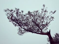 -大罗山风景区