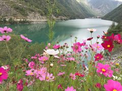 -叠溪松坪沟景区