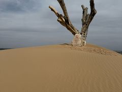 -黄沙古渡原生态旅游区