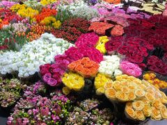 -双季花艺园艺市场(浦东店)