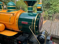 -合肥滨湖国家森林公园