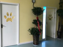 -瑞鹏宠物医院·爱宠堂·骨外专科(西荷分院)