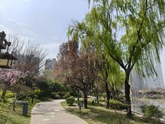 -木塔寺遗址生态公园