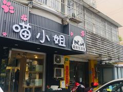 -1013 PET SHOP精品宠物商店(丁香店)