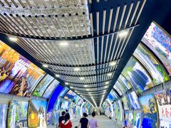 -刘伯温故里景区百丈漈