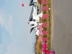 -盐城丹顶鹤湿地生态旅游区