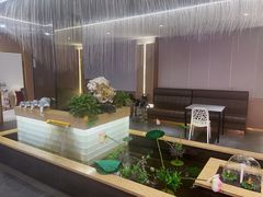 -宏宴·新京菜(望京店)