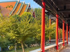 -报恩禅寺